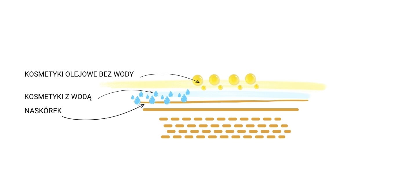 warstwy nakładania kosmetyków na skórę